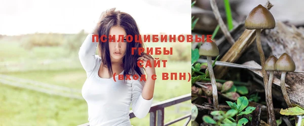 метамфетамин Осинники