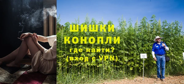 ПСИЛОЦИБИНОВЫЕ ГРИБЫ Осташков