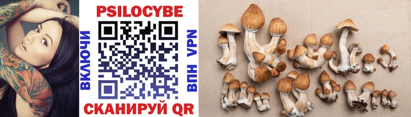Купить закладки  Фролово  Псилоцибиновые грибы ЛСД 